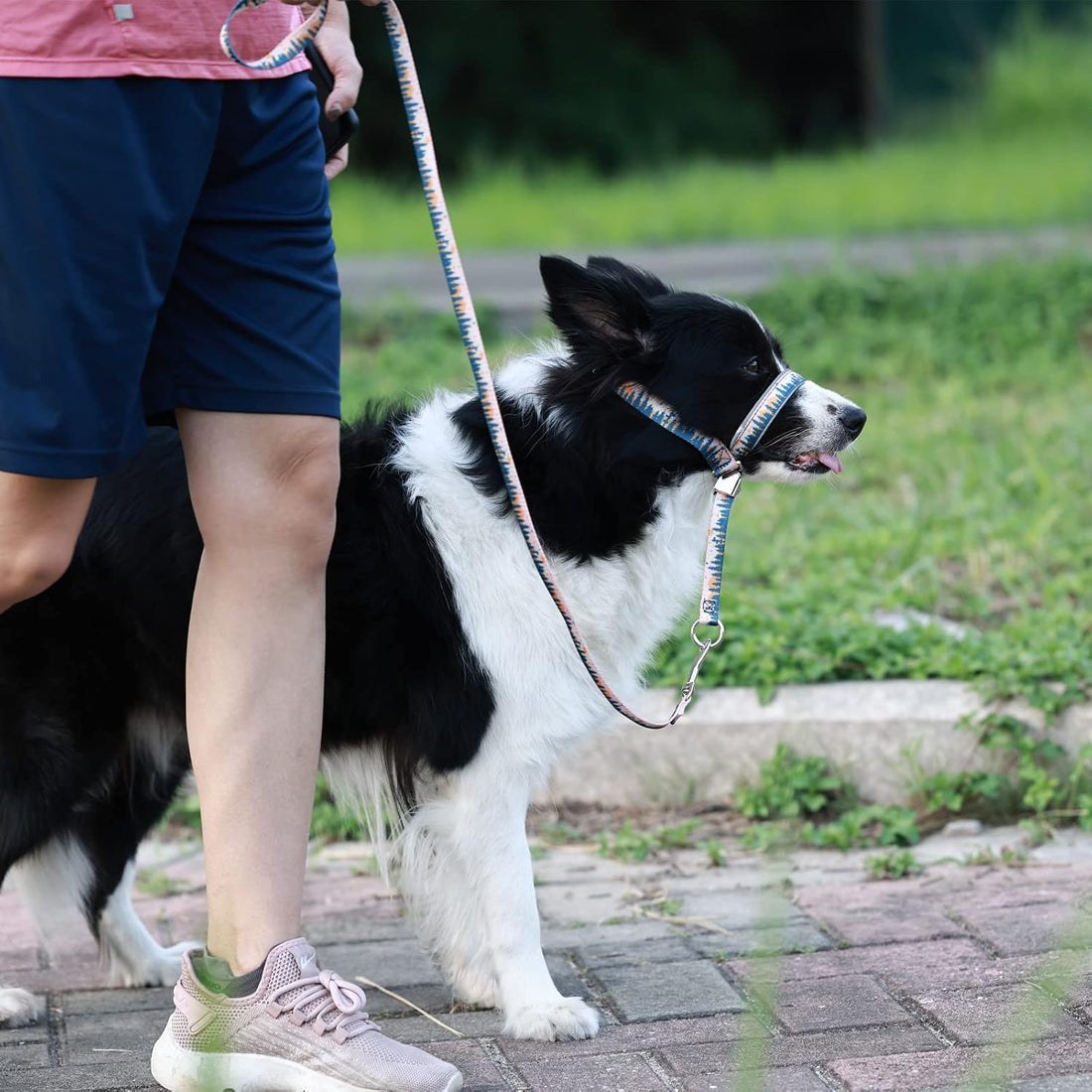 BARKLESS Dog Head Collar, Anti-Pulling Printed Head Halter with Leash