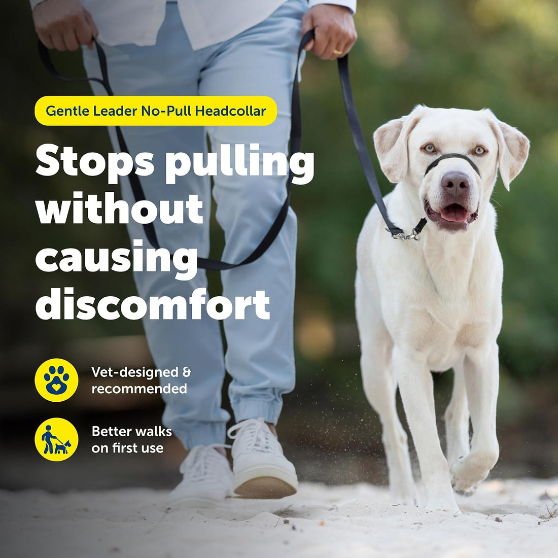 PetSafe Gentle Leader No-Pull Dog Headcollar