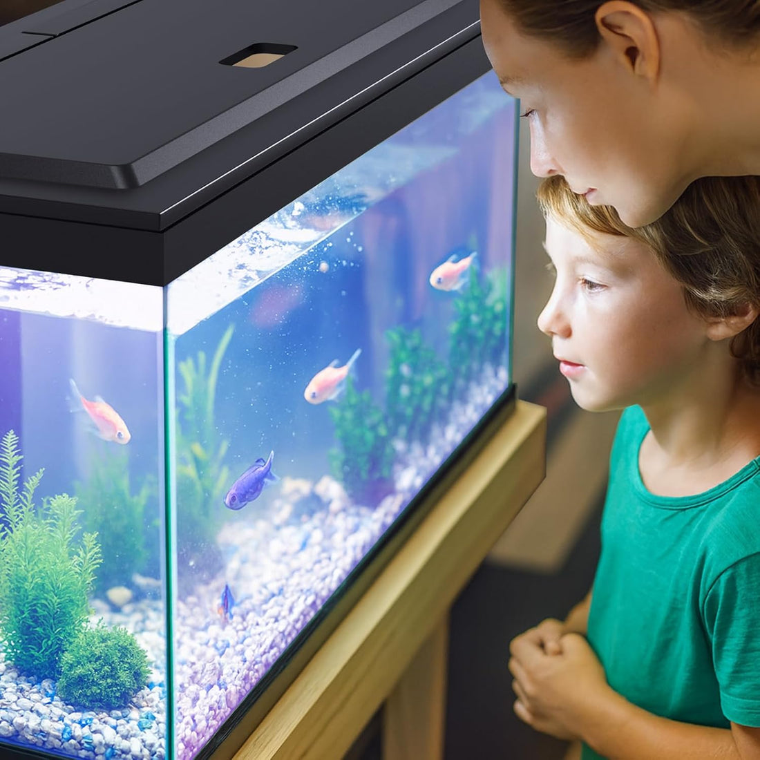 LED Aquarium Hood, Colored Lights, Fits 24" Framed Aquariums, Black