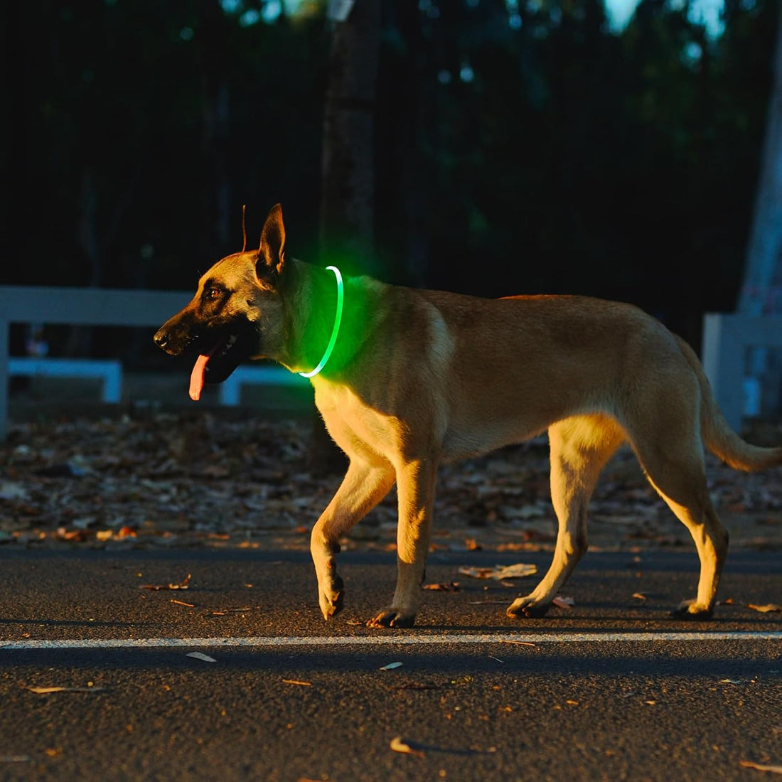 2 Packs Light Up Dog Collar, Kpuplol USB Rechargeable Dog Lights