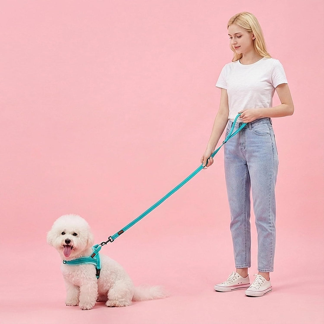 Didog 6FT Reflective Dog Leash for Small Medium Dogs, Slim 5/8" Width