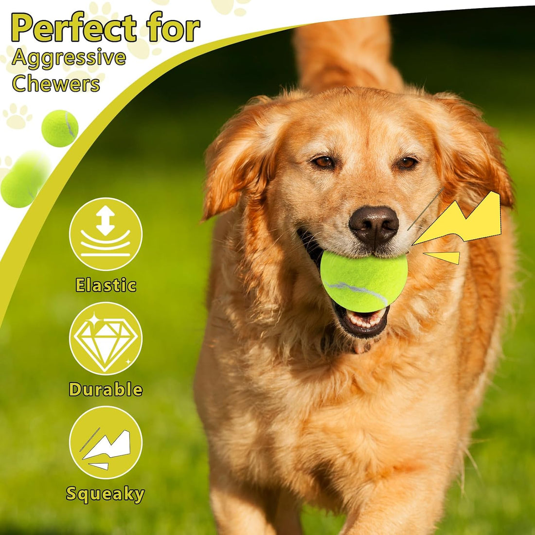 Swingers Squeaky Tennis Balls for Dogs,2.5 inch Training Tennis