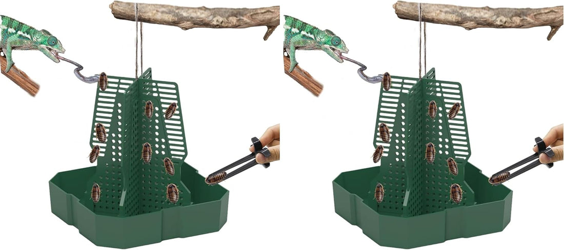 Chameleon Feeder Bearded Dragon Feeder for Mounted Insect(Medium)
