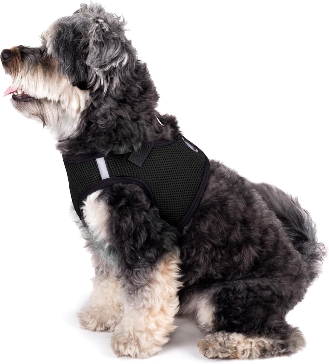 THE WORTHY DOG Easy Step-in Mesh Harness for Medium Dogs, Black