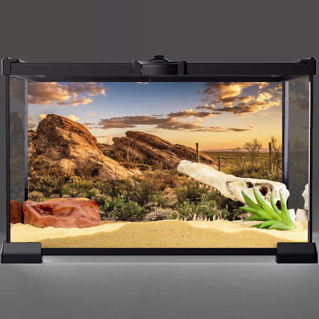 36x18 in Desert Reptile Habitat Backdrop Oasis Cactus Terrarium