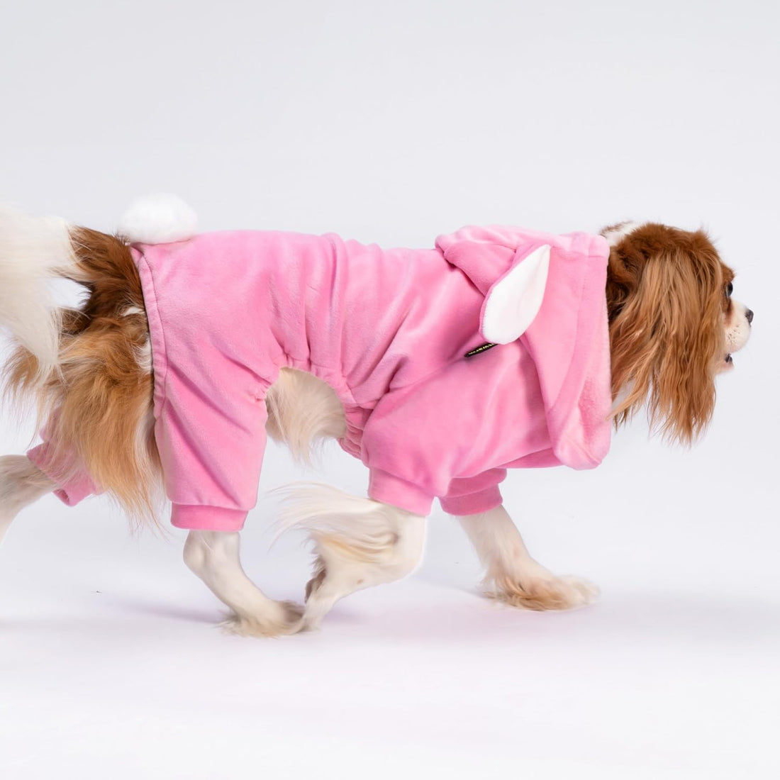 Fitwarm Halloween Sheep Dog Costumes