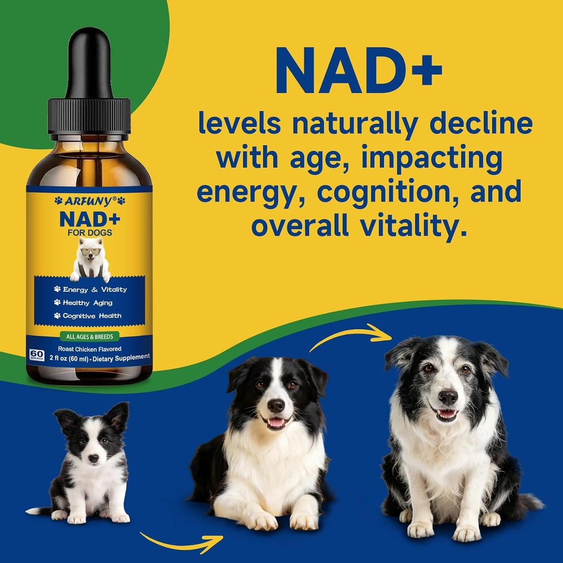 NAD+ Longevity Supplement for Senior Dogs, Vitality, Cognitive Health