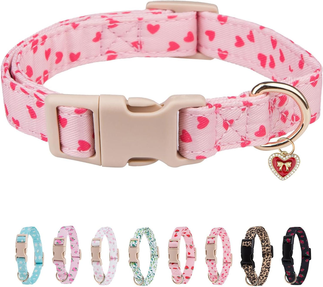 Dog Collar for Small, Medium & Large Dogs(PinkHeart,S)