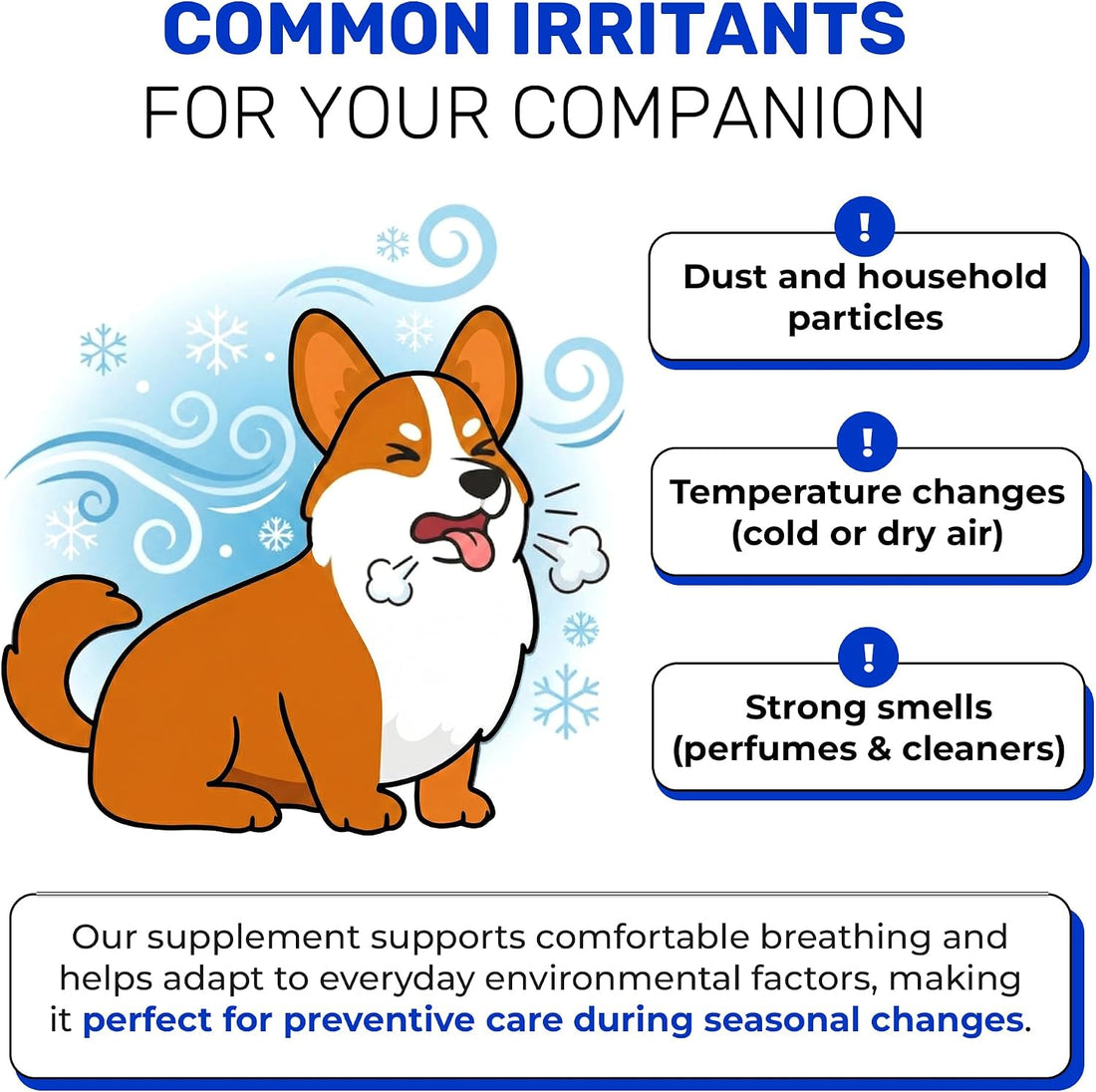 Dry & Wet Kennel Cough Medicine for Dogs and Cats