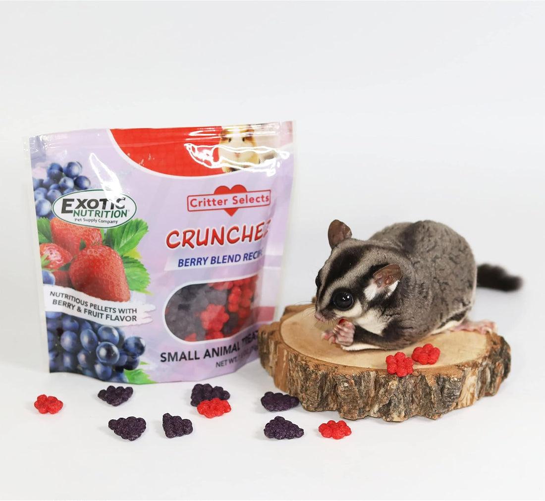 Crunchez Berry Blend - Crunchy Fruit Flavored Treat Bites