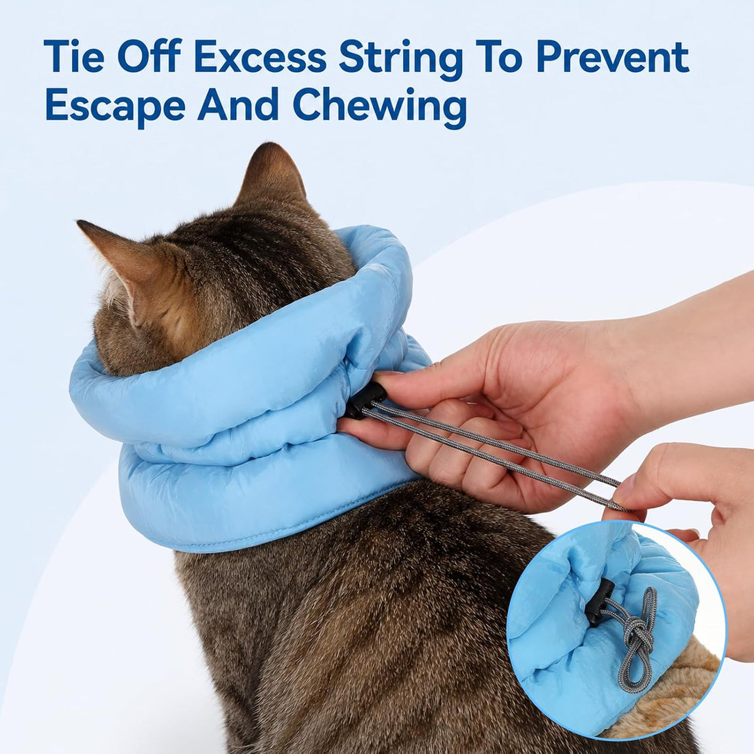 Adjustable Soft Recovery Collar for Cats
