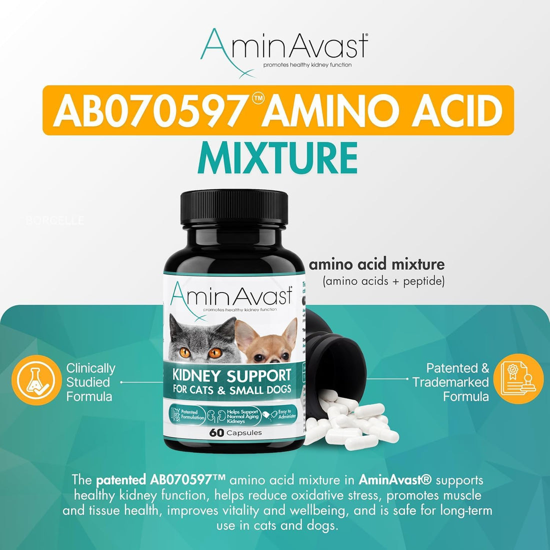 AminAvast 300mg Kidney Support for Cats & Small Dogs