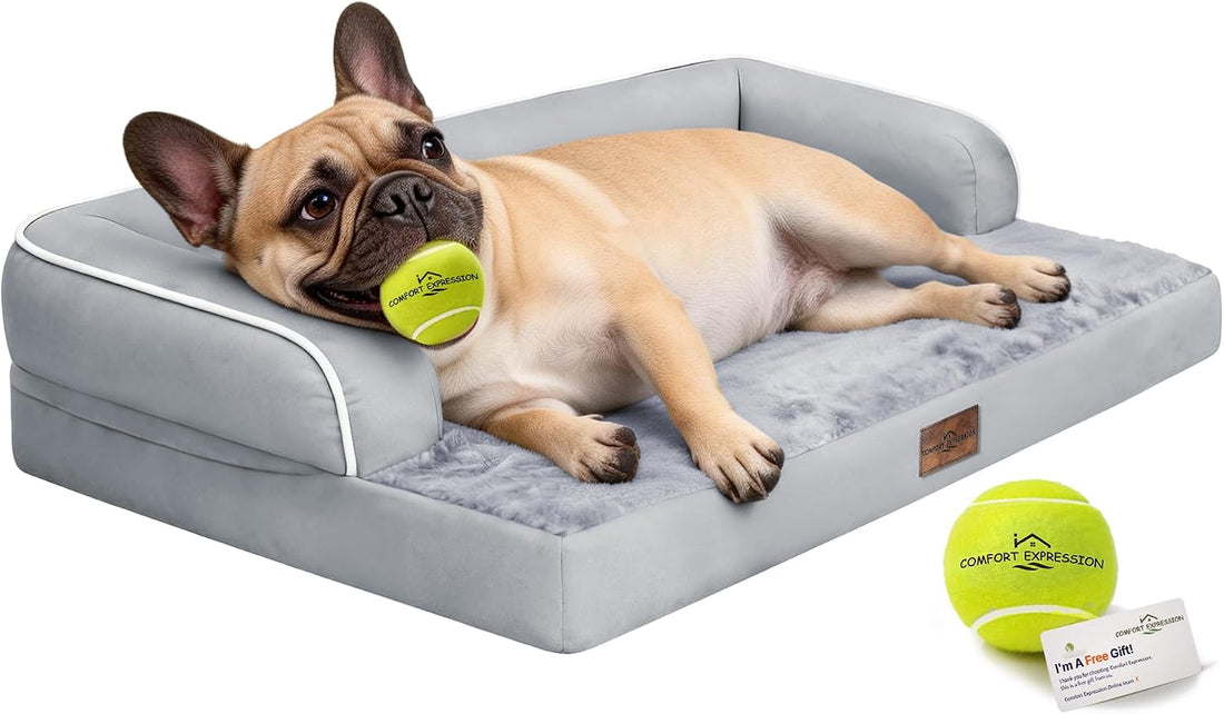 Comfort Expression Orthopedic XL Dog Bed for Large and Extra Large