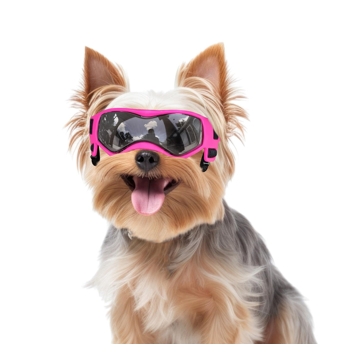 Small Breed Dog Goggles, Pink Sunglasses with UV Protection