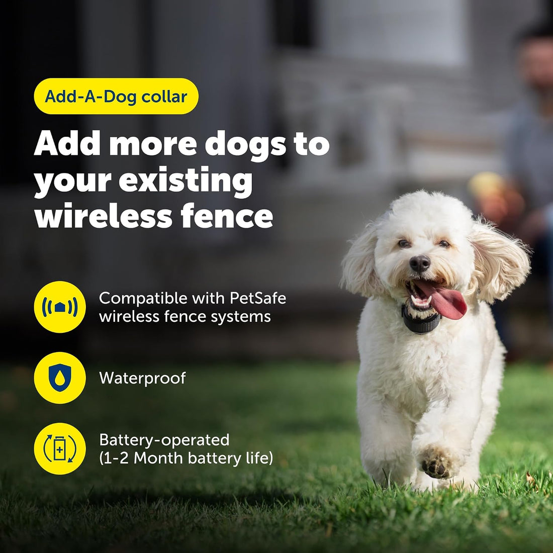 PetSafe Stay & Play Wireless Pet Fence with Replaceable Battery