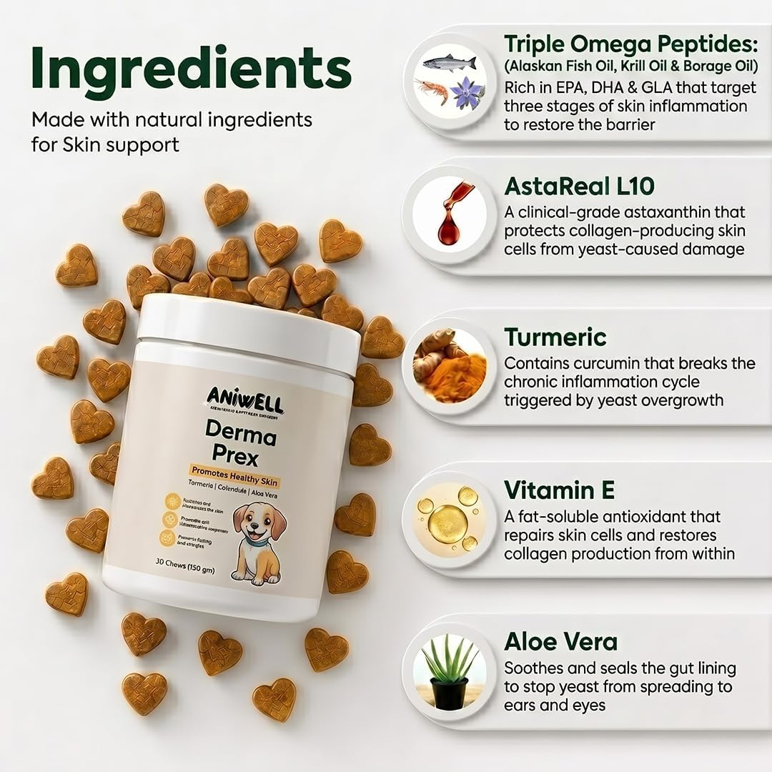 DermaPrex Dog Allergy Chews – Anti Itch for Dogs | Borage Oil, Omega 3