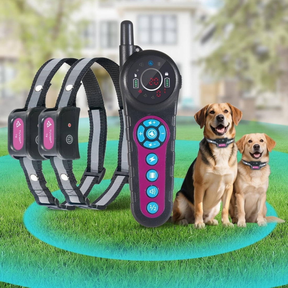 DOTSTAR Wireless Dog Fence Pet Electronic Training Collar 2-in-1