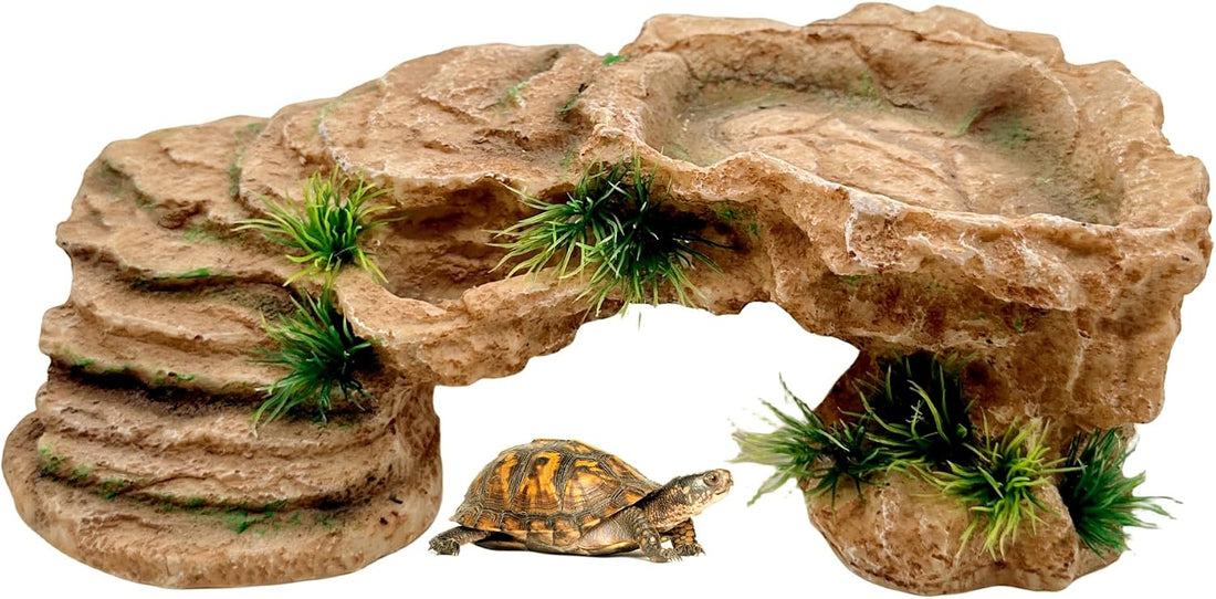 M2cbridge Reptile Hide Resting Step Ledge Cave Hideout Turtle Basking