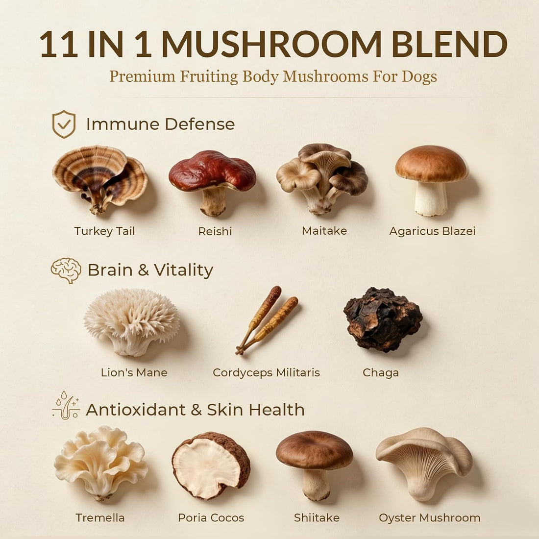 NATURE TARGET Turkey Tail Mushroom for Dogs, 11 in 1 Immune Chews