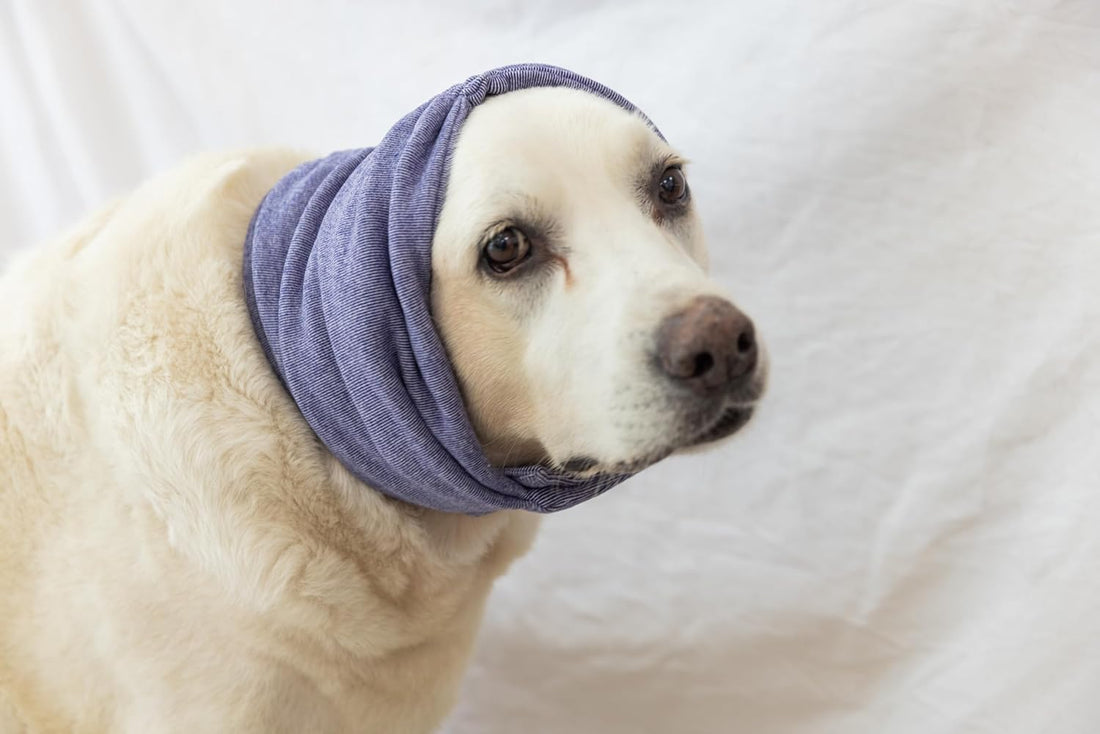 Dog Ear Muffs for Noise Protection Purple L