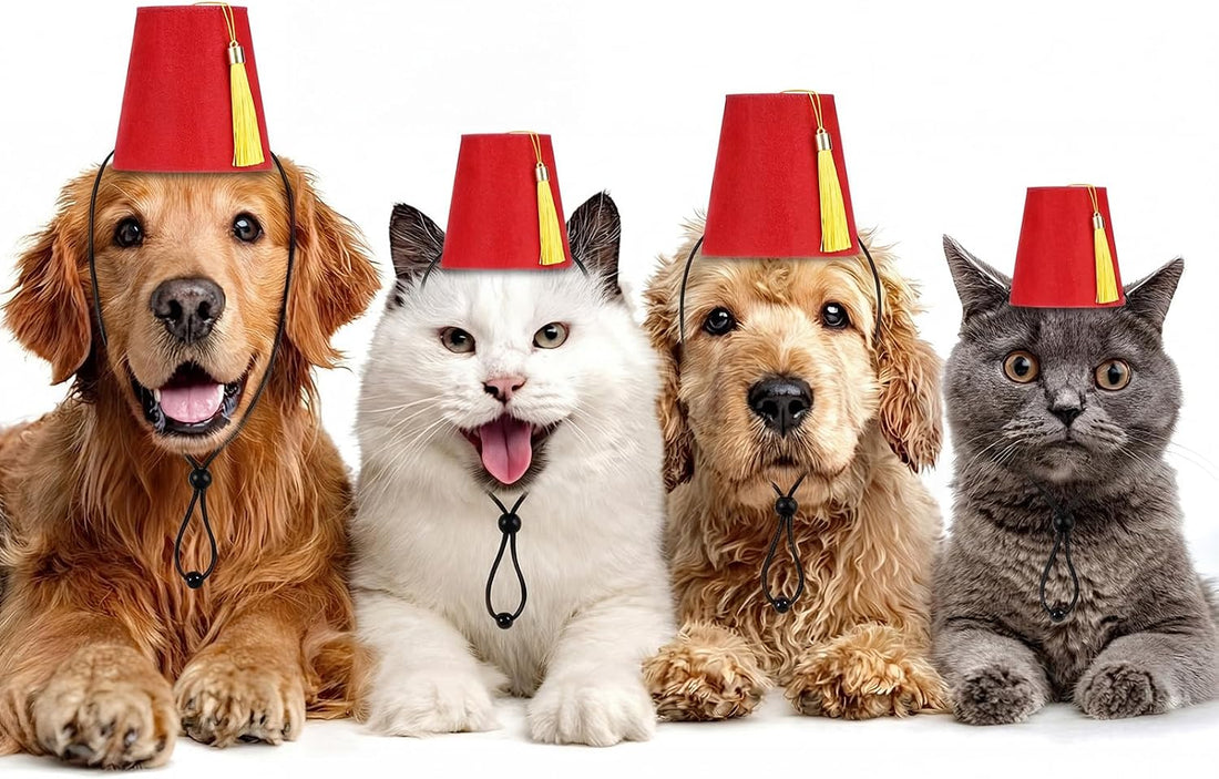 4 Pcs Fez Hat for Pet Red Turkish Style Hat with Golden Tassel