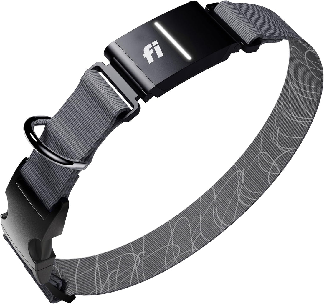 Fi Series 3+ GPS Dog Collar & Tracker, Membership Required, Gray L