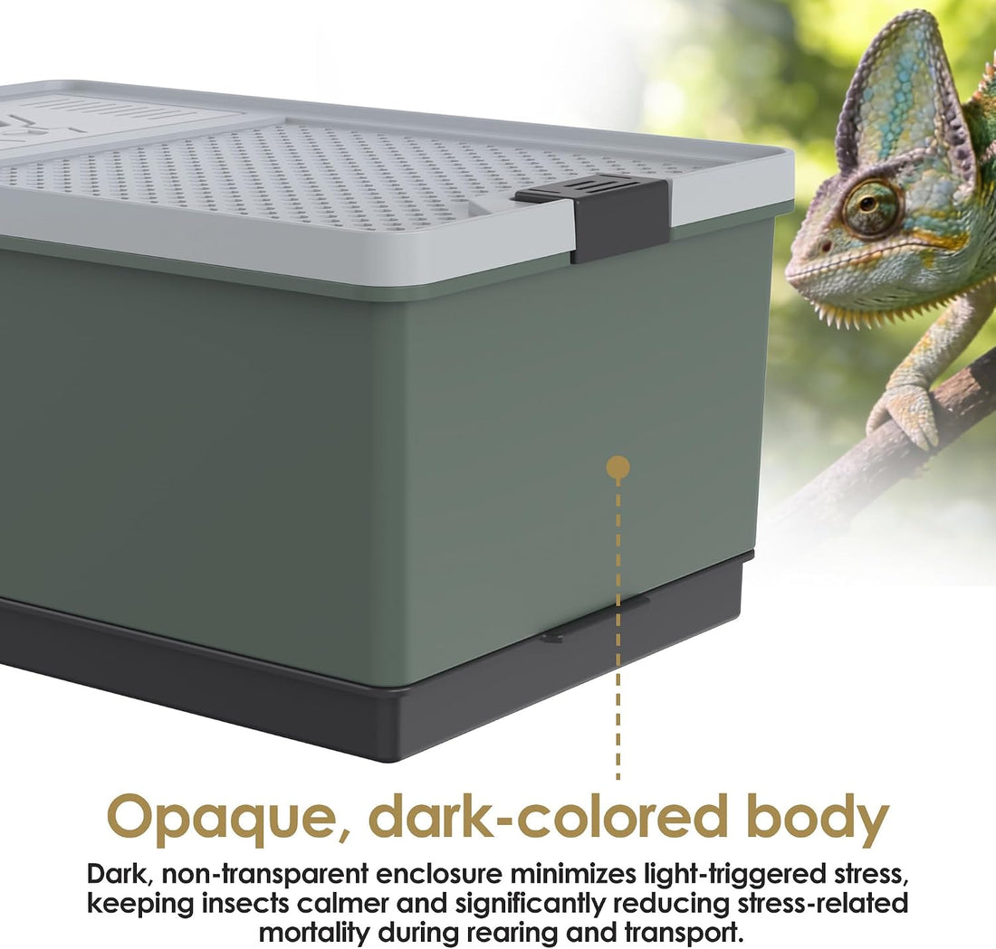 Self-Cleaning Cricket & Roach Feeder Habitat with Escape-Proof Lid
