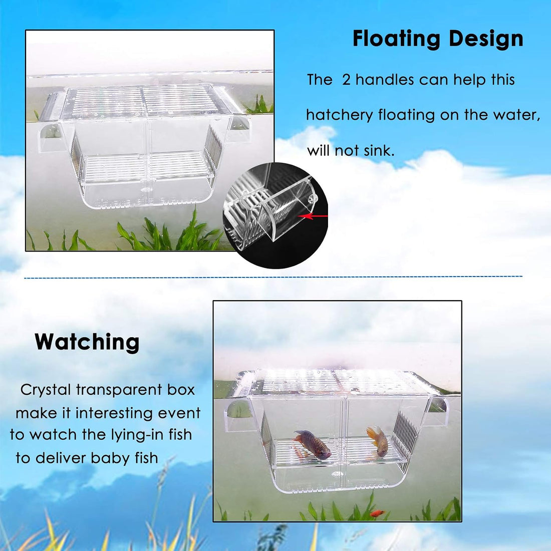 capetsma Fish Breeding Box, Acrylic Fish Isolation Box with Suction