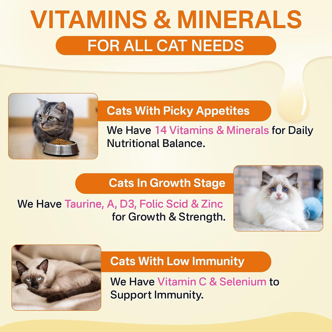 Taurine for Cats Multivitamin Chews
