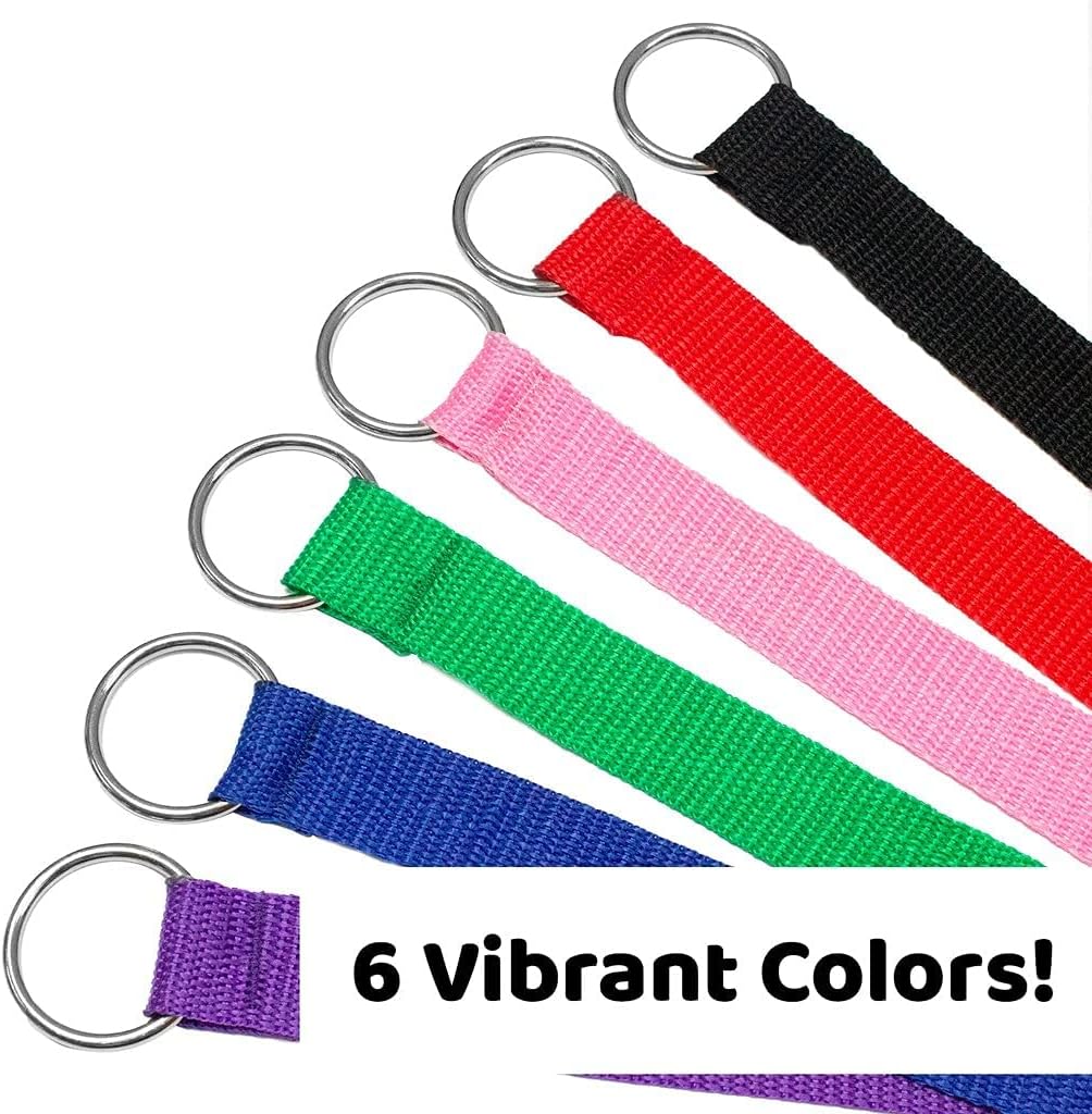 Downtown Pet Supply Slip Lead Dog Leash 6 Pack, 4' x 1/2"
