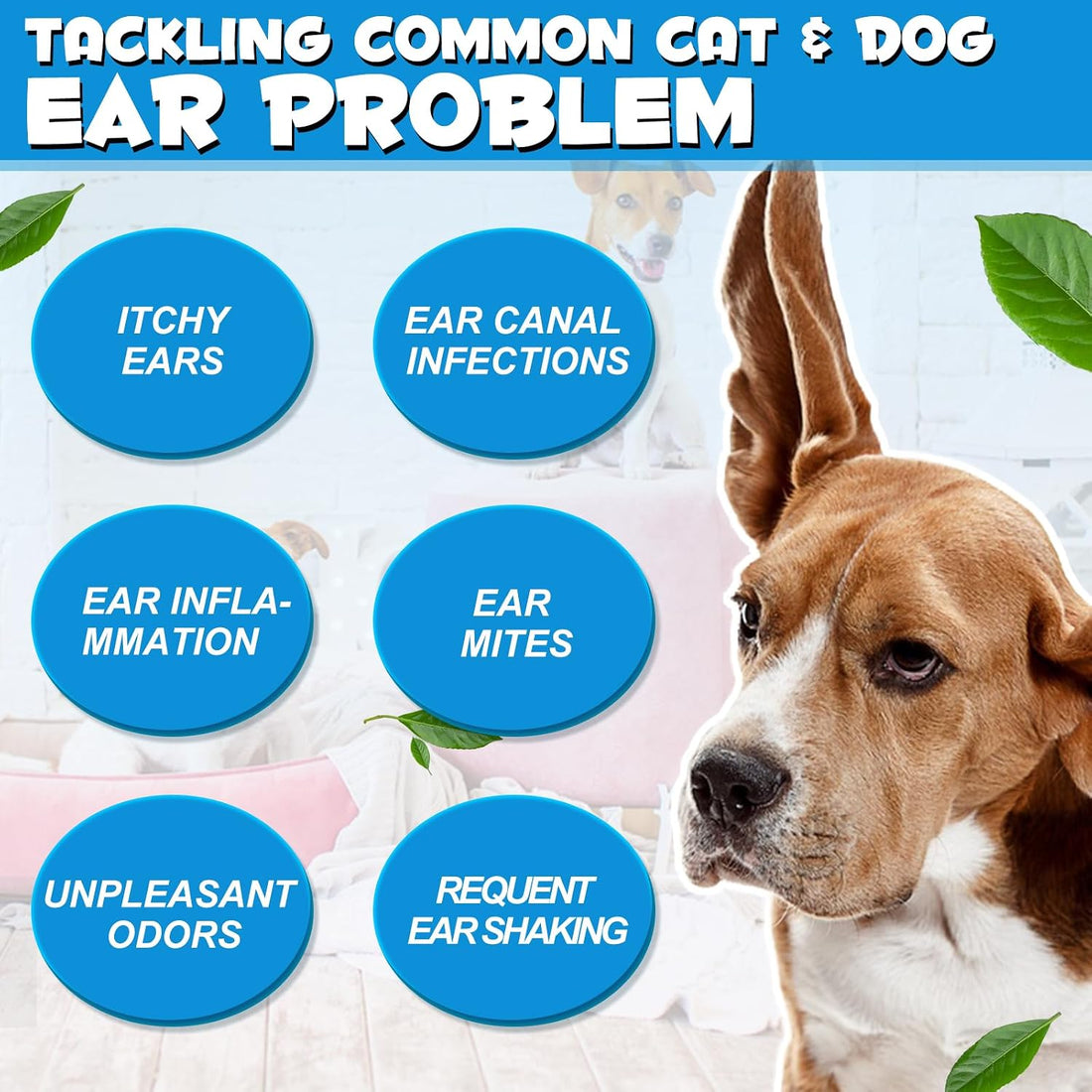 bnHUlMXw Ear Infection Treatment Drops for Dogs and Cats,with 1%