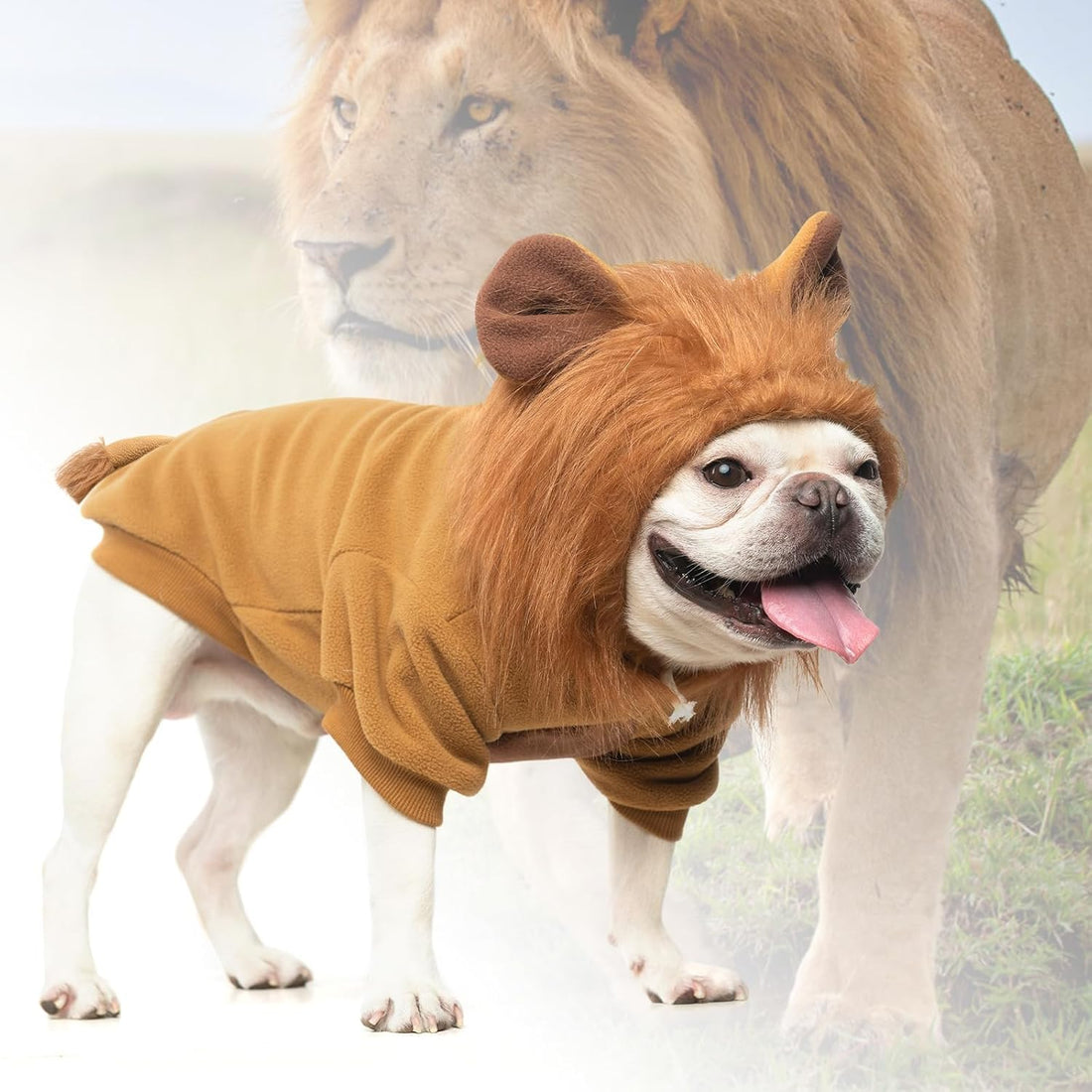 KOOLTAIL Dog Lion Mane Costume Clothes