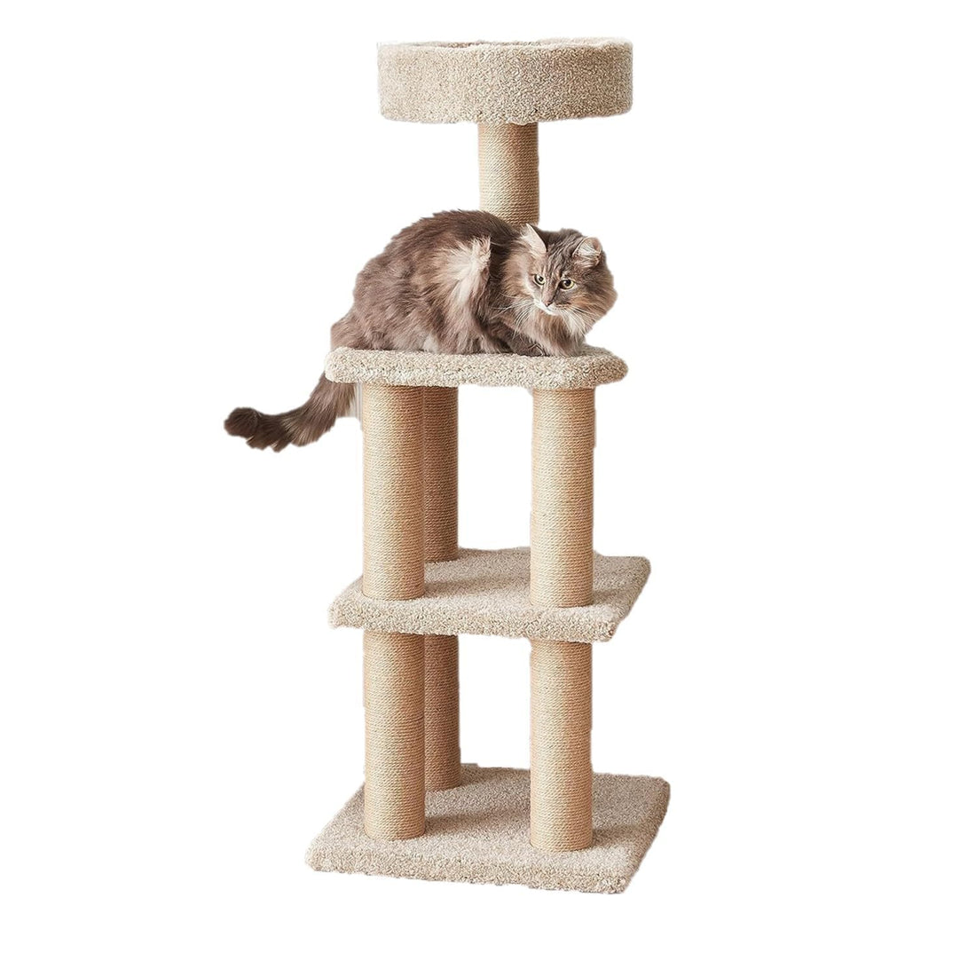 Cat Tree Tower - Multi-Level Climbing Activity Center for Indoor Cats