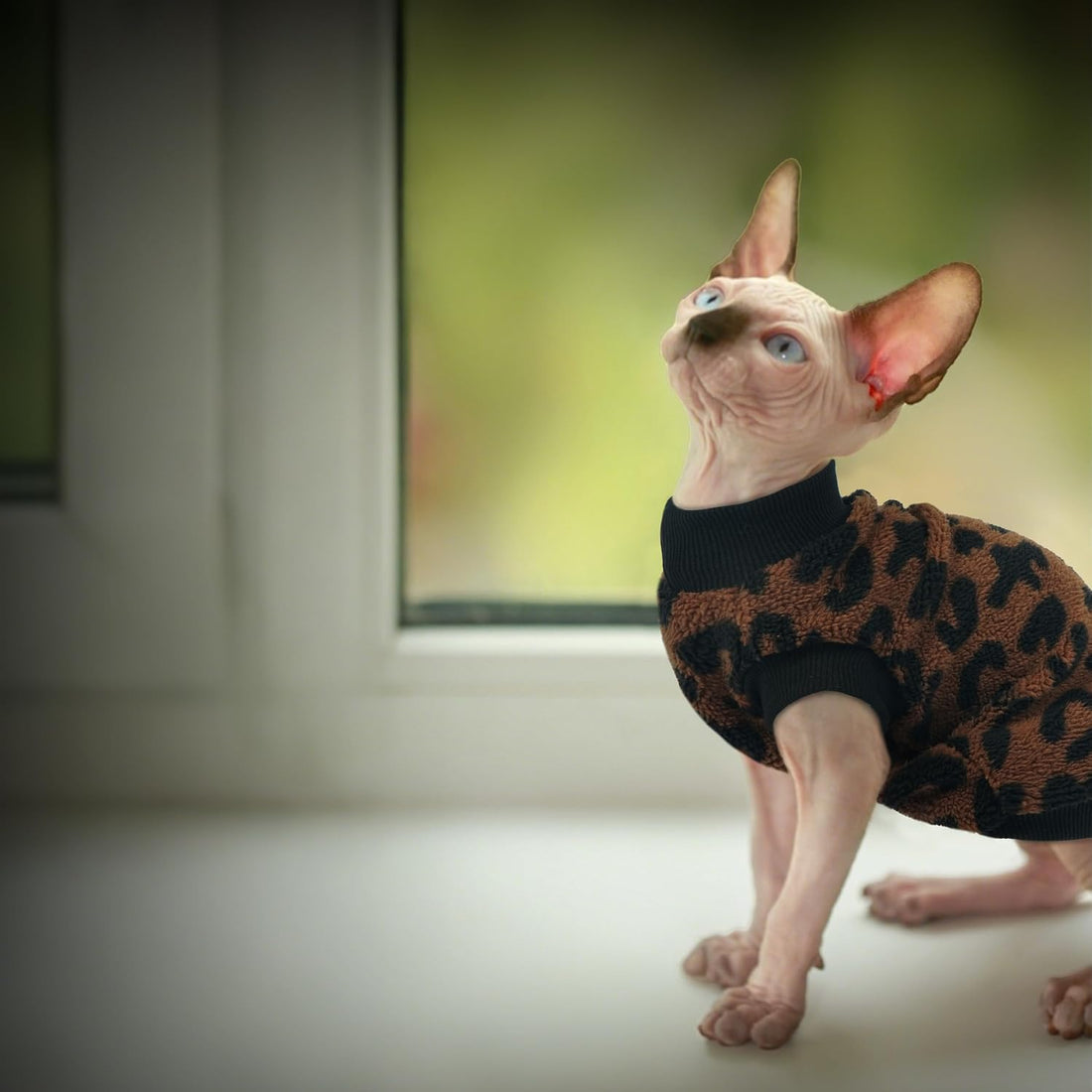 PUMYPOREITY Sphynx Cat Clothes, Thick Plush Fleece Sweater, Brown, M