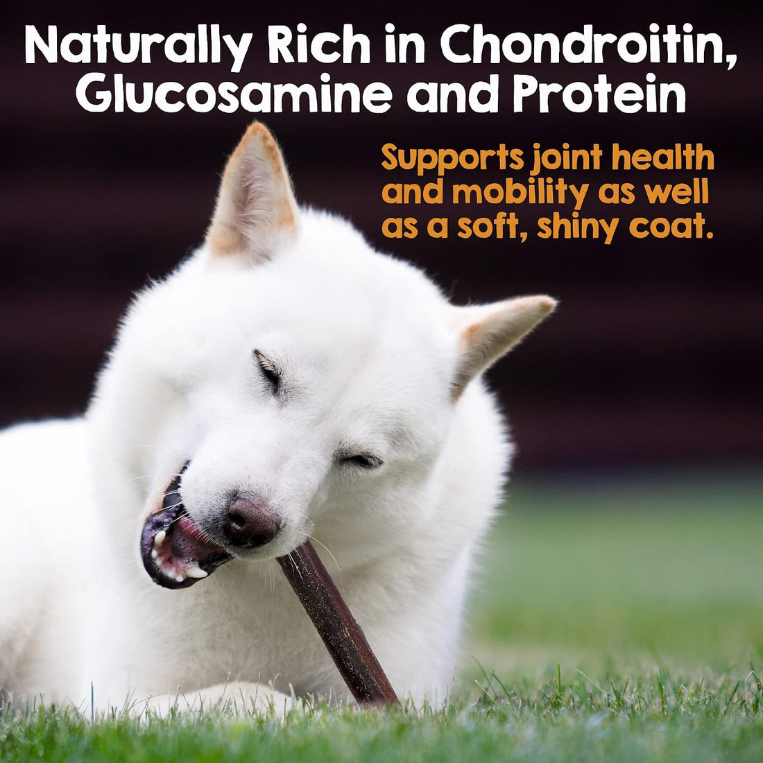 Riley's 12" Beef Collagen Sticks for Dogs - 100% Natural Beef - 5ct