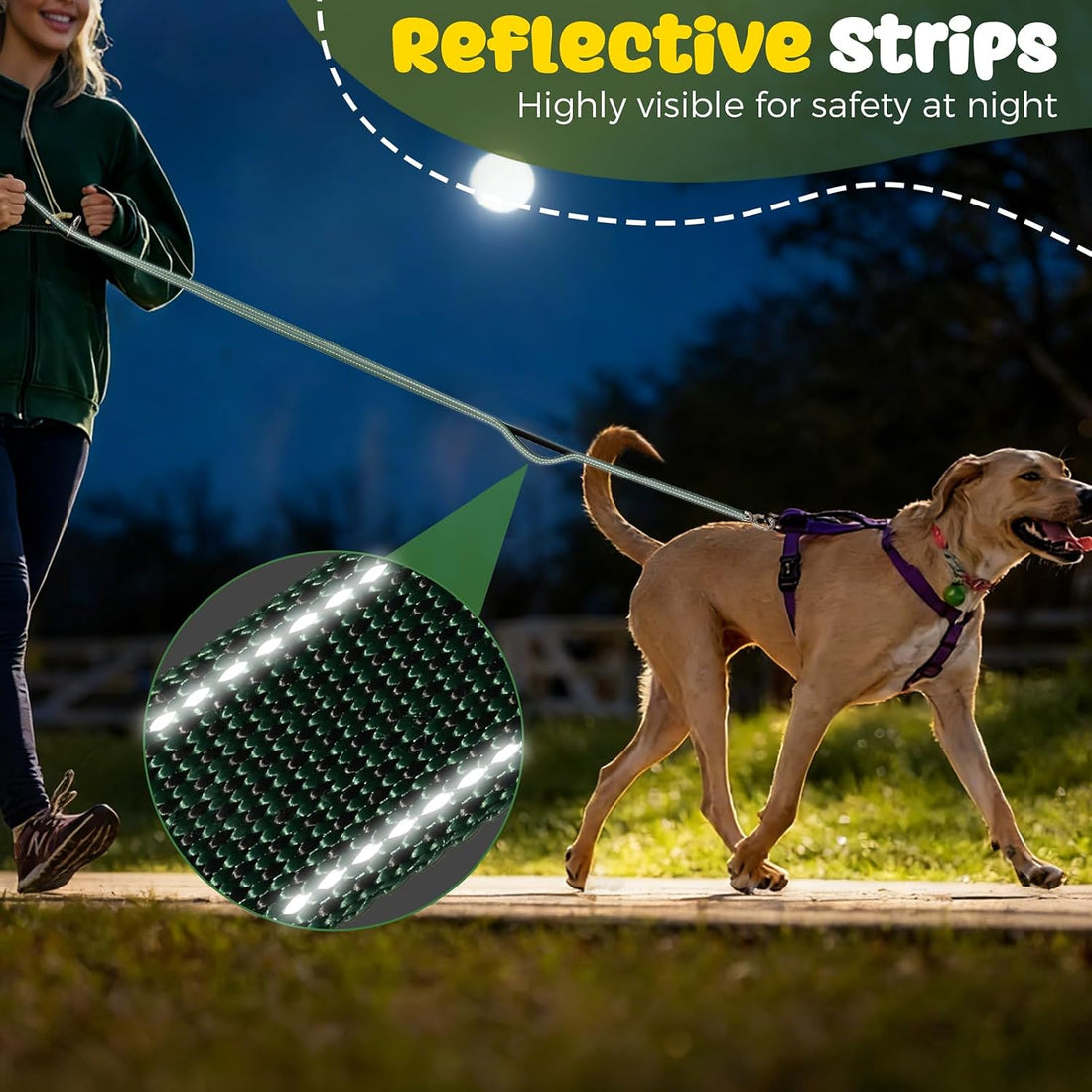 Heavy Duty Dog Leash with Easy Lock Metal Clip, Reflective