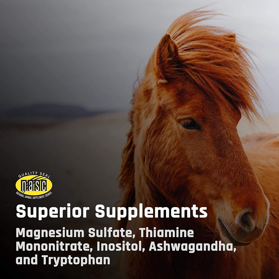 Majesty's KALM+ Wafers- Horse/Equine Balanced Behavior and Normal