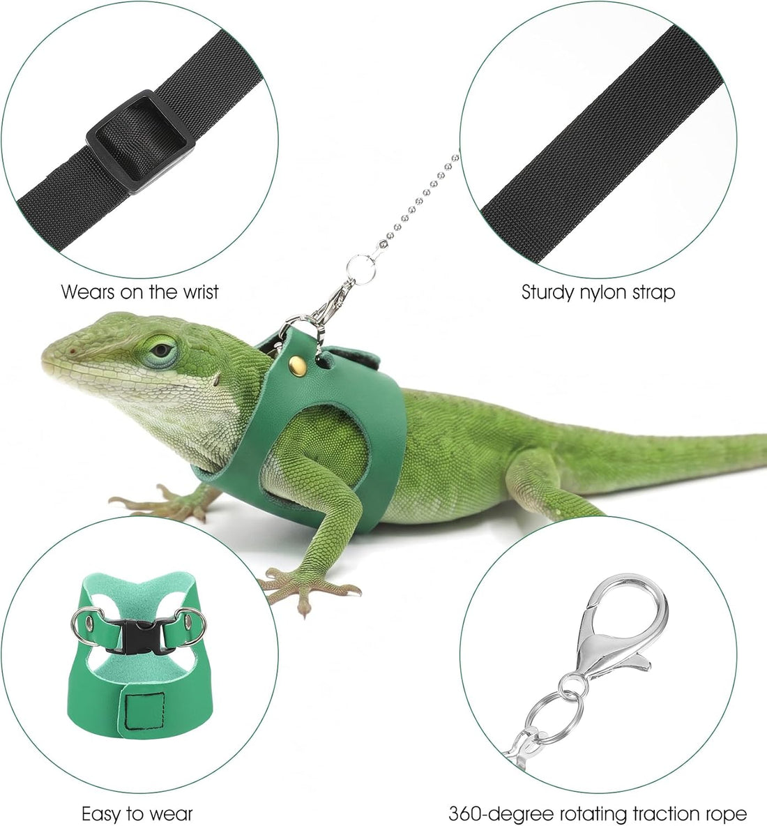 3 Pack Bearded Dragon Leash Set