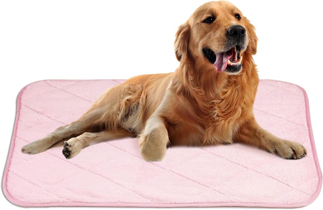 NWK Self Warming Thermal Pet Mat for Dogs and Cats (Black, Small)