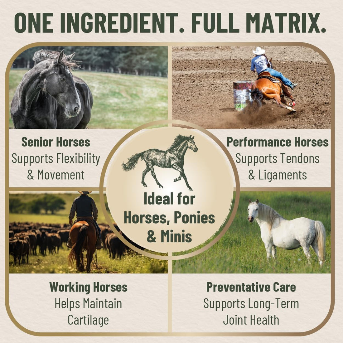 Eggshell Membrane Collagen for Horses - Joint Support 5.5 oz