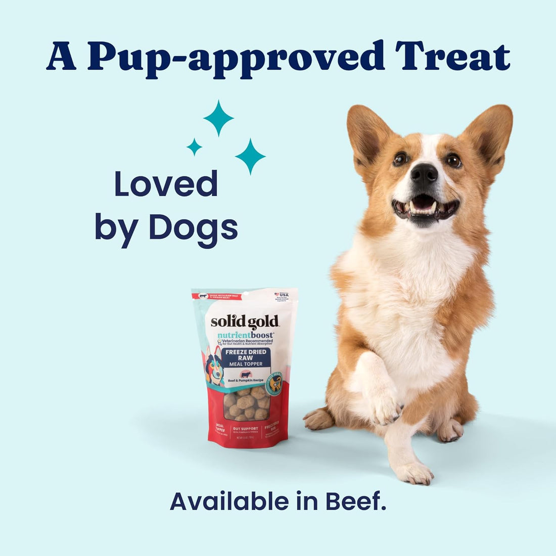Solid Gold Freeze Dried Dog Food - W/Real Beef, Pumpkin & Superfoods