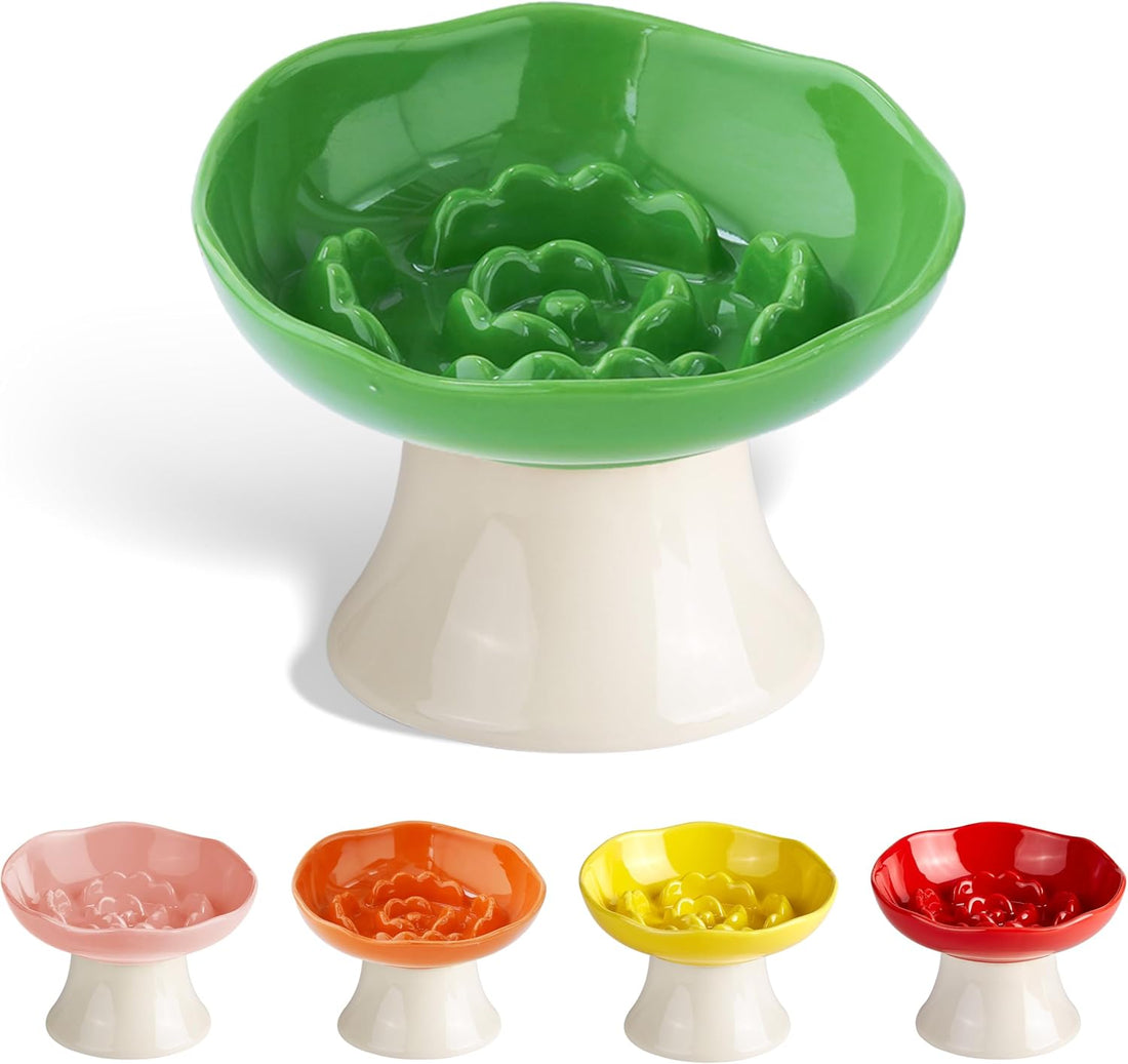 Ceramic Slow Feeder Bowl for Cats and Small Dogs