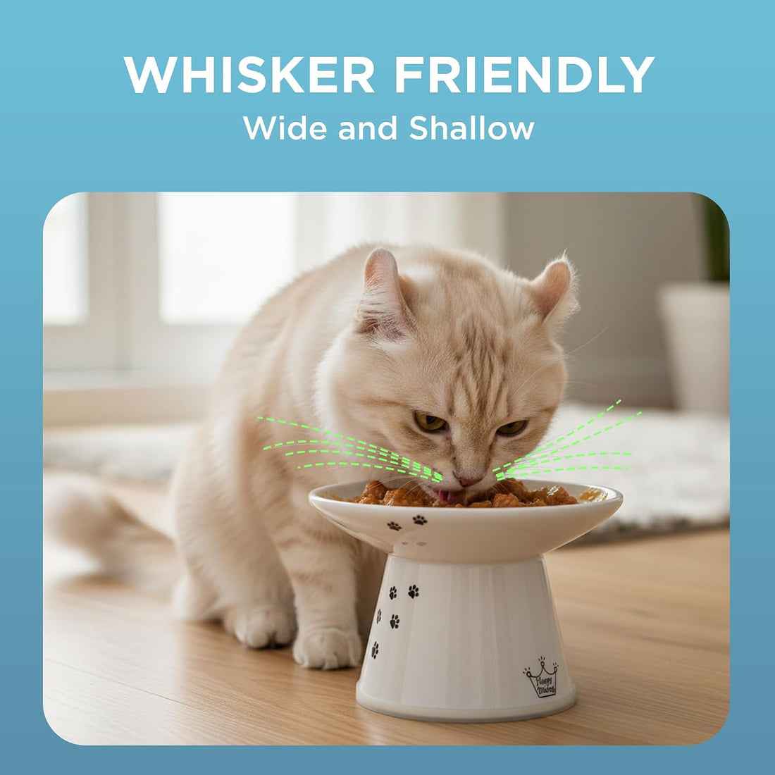 Necoichi Elevated Cat Food Bowl, Ceramic, Whisker-Friendly