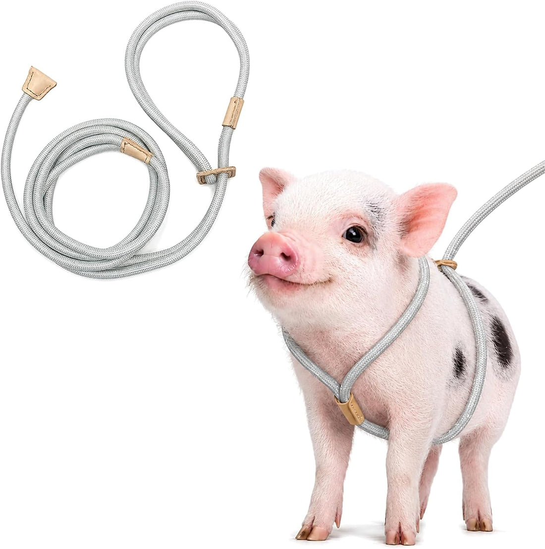 Pig Harness and Leash for Mini Pig, Goat