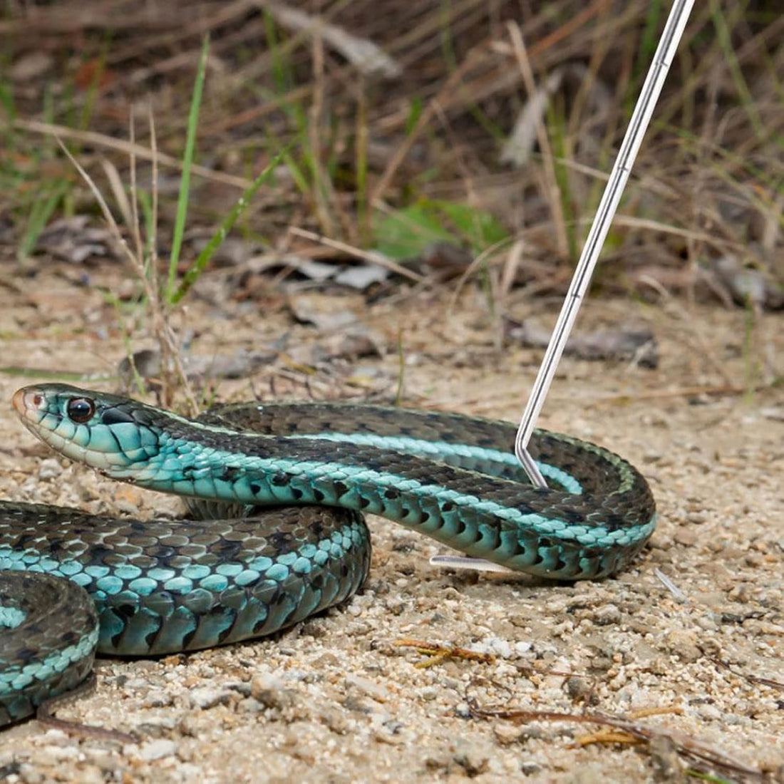 Collapsible Snake Hook Stainless Steel Extensible Snake Catcher