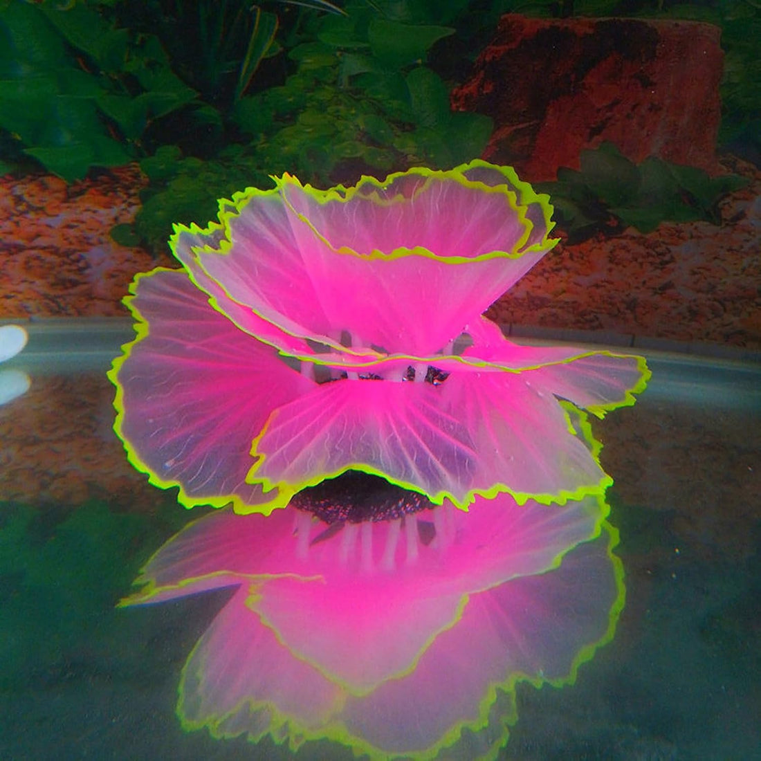Besimple Aquarium Coral Ornament Glowing Effect Coral Decor Resin