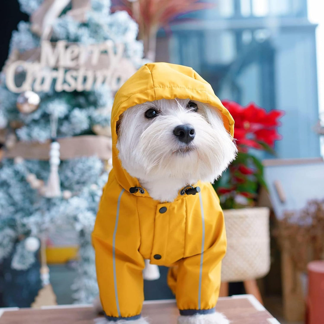 Dog Raincoat, Waterproof Dog Rain Jacket with Hood