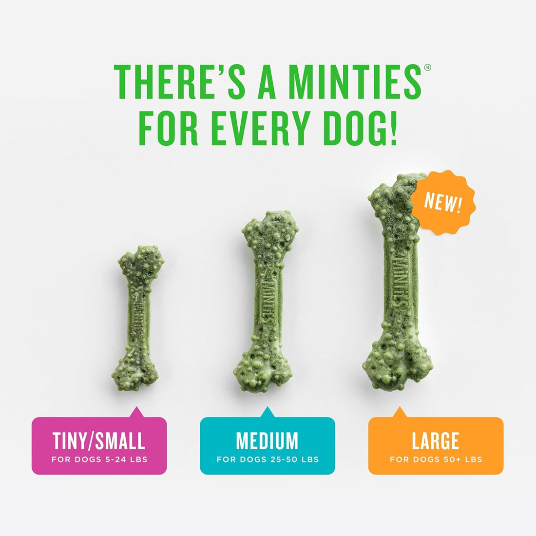 Minties Mint Dental Chews for Dogs, Medium Breeds 25-50 lbs, 20 Count