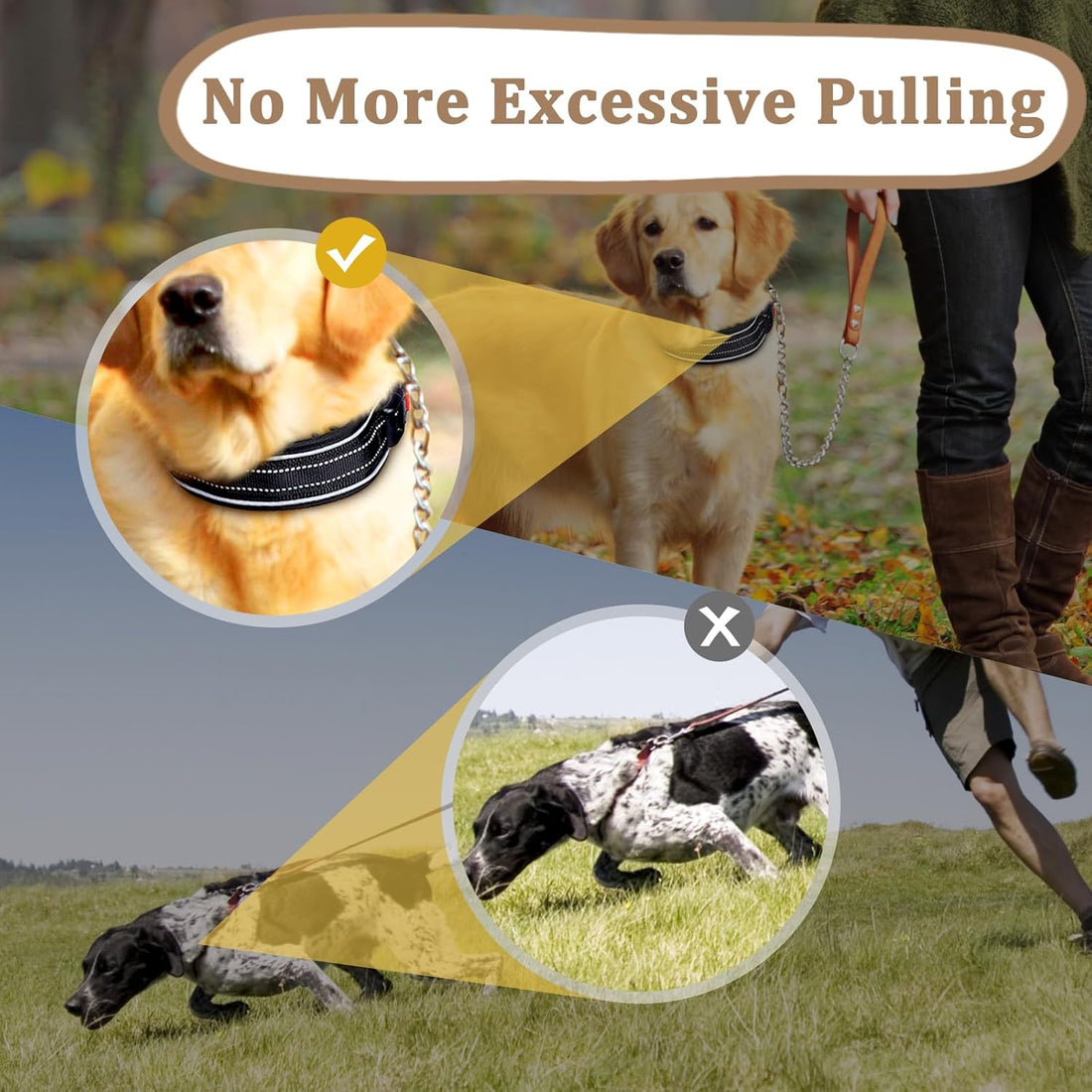 Mayerzon Martingale No Pull Dog Collar