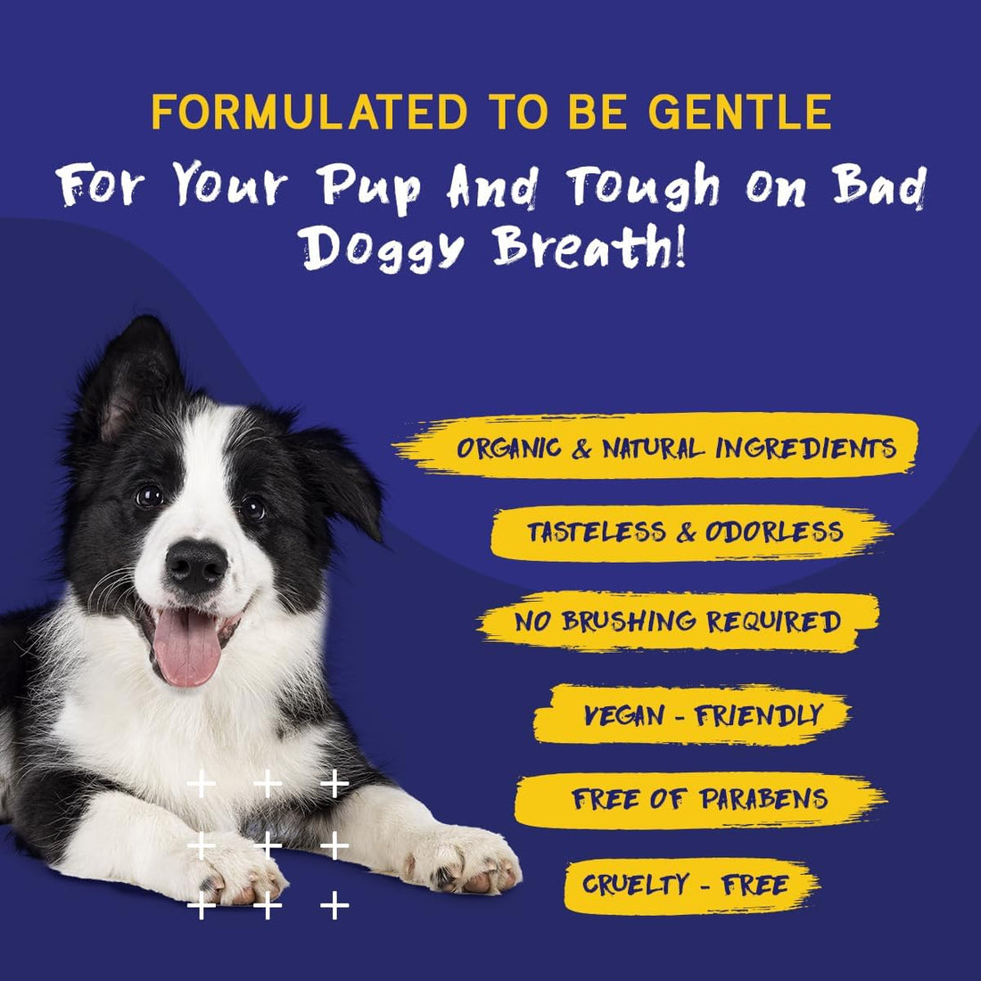 PupGrade Dental Care Water Additive Solution - 8 fl oz